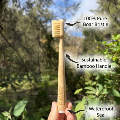 Boar or horse bristle toothbrush - 4 PACK